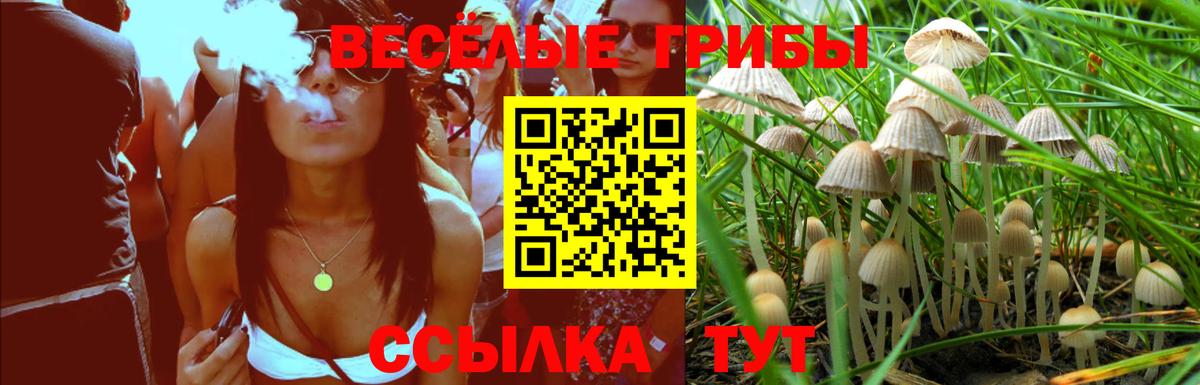 Псилоцибиновые грибы Cubensis Ялуторовск